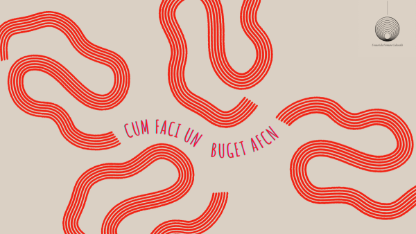 Construcția unui buget AFCN - Image 3